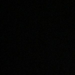 Meet your Posher, Bee